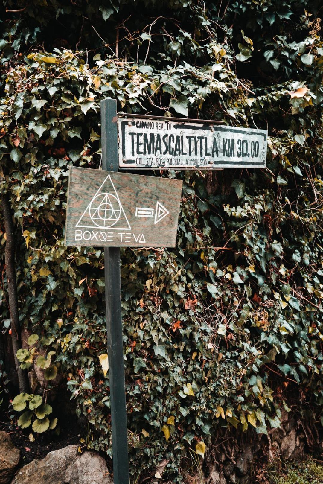 Hotel Boxque Teva Mexiko-Stadt Exterior foto