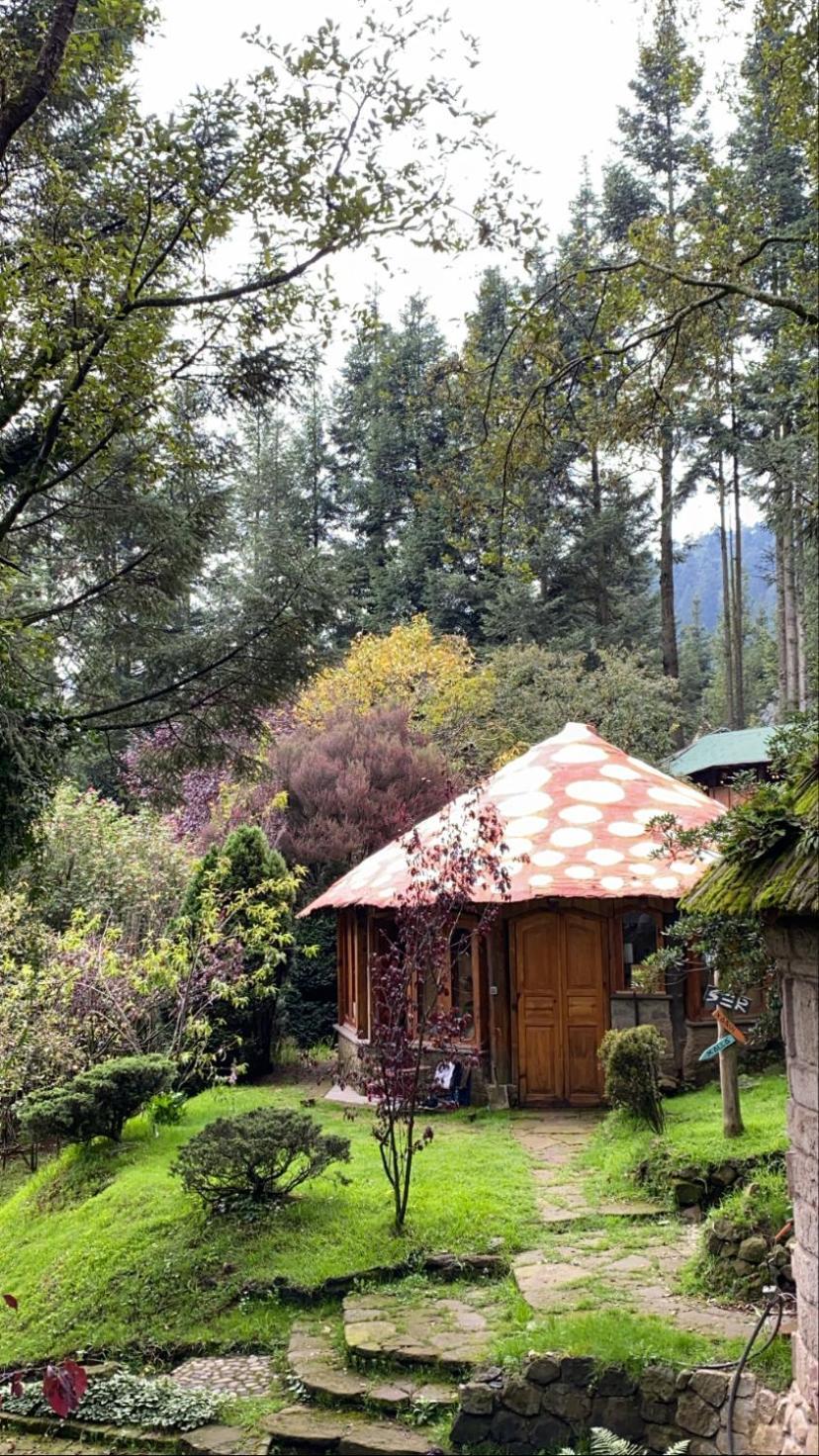 Hotel Boxque Teva Mexiko-Stadt Exterior foto