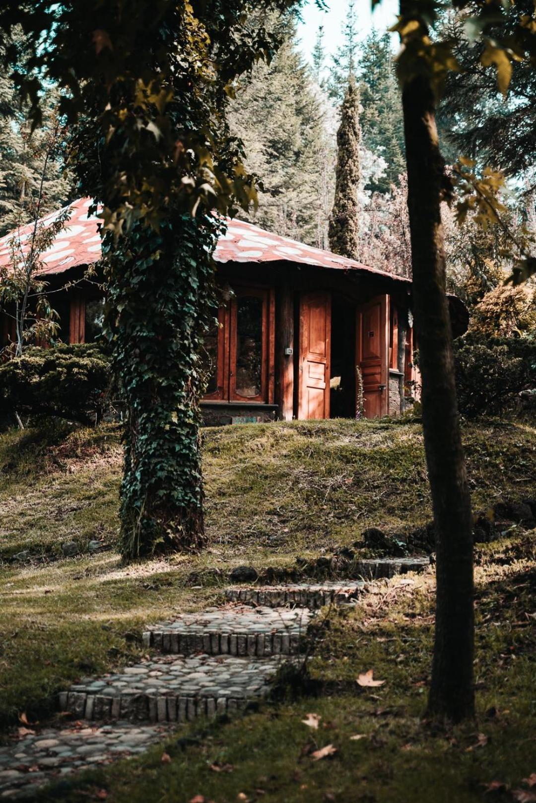 Hotel Boxque Teva Mexiko-Stadt Exterior foto